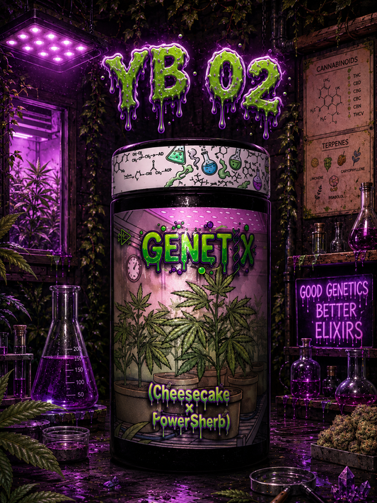 Genetix - YB 02