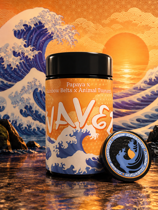 Tsunami Seeds - Wavez