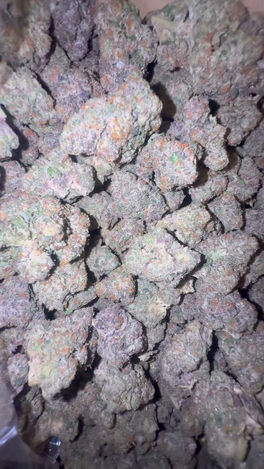 Connected - Biscotti